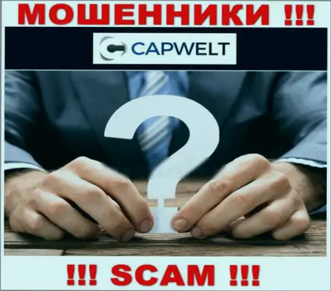 Ворюги CapWelt не желают, чтобы кто-то видел, кто в действительности управляет компанией