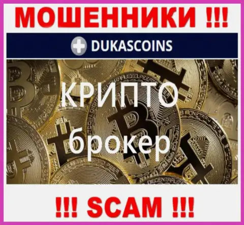 Род деятельности интернет-мошенников DukasCoin - это Crypto trading, однако знайте это обман !!!
