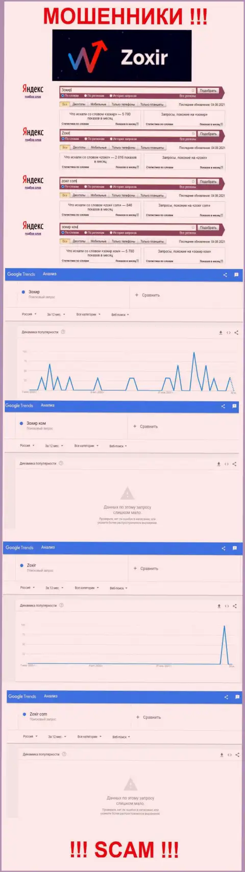 Статистика онлайн запросов по бренду мошенников Zoxir