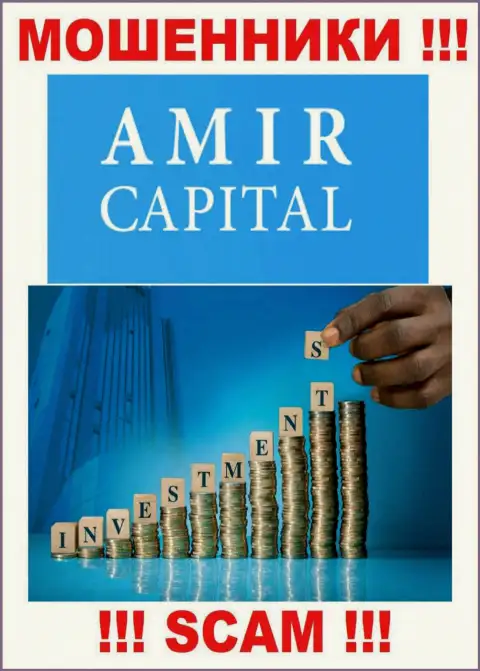 Не вводите деньги в Amir Capital, тип деятельности которых - Инвестирование