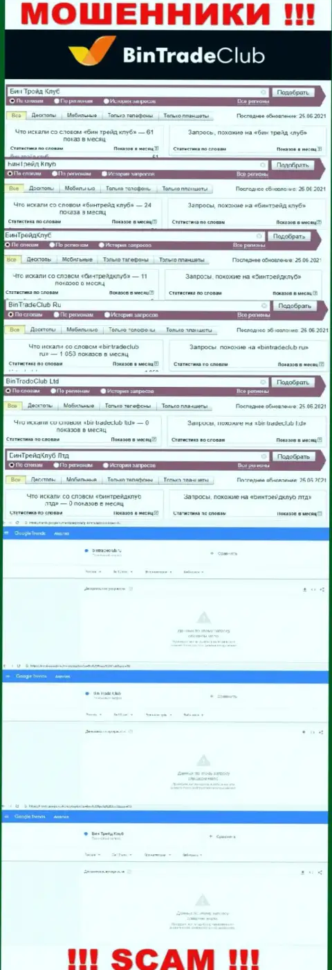 Статистика internet-запросов в поисковиках сети относительно мошенников Bin TradeClub