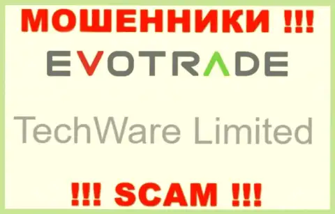 Юридическим лицом Ево Трейд считается - TechWare Limited