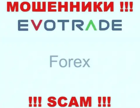 Evo Trade не внушает доверия, ФОРЕКС - это конкретно то, чем заняты эти internet мошенники