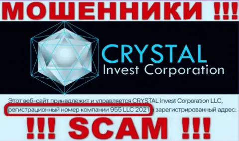 Номер регистрации организации CrystalInvest, вероятнее всего, что ненастоящий - 955 LLC 2021
