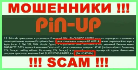 Регистрационный номер мошенников всемирной сети компании Pin Up Casino: HE 405814