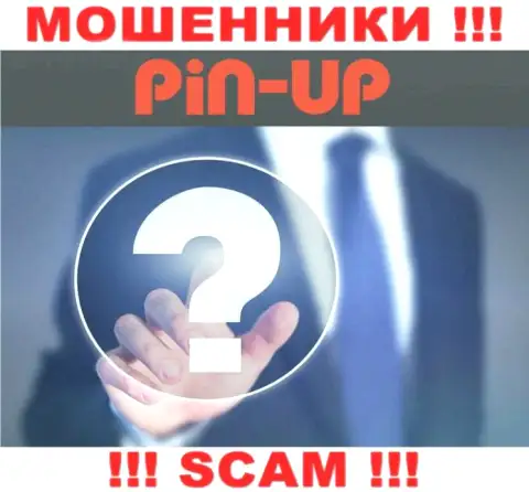 Не работайте совместно с кидалами Pin-Up Casino - нет инфы о их прямом руководстве