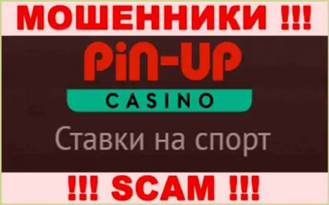 Основная работа Pin Up Casino - это Казино, будьте очень внимательны, прокручивают делишки неправомерно