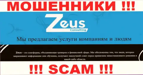 Род деятельности интернет махинаторов ЗевсКонсалтинг - это Консалтинг, но знайте это обман !!!