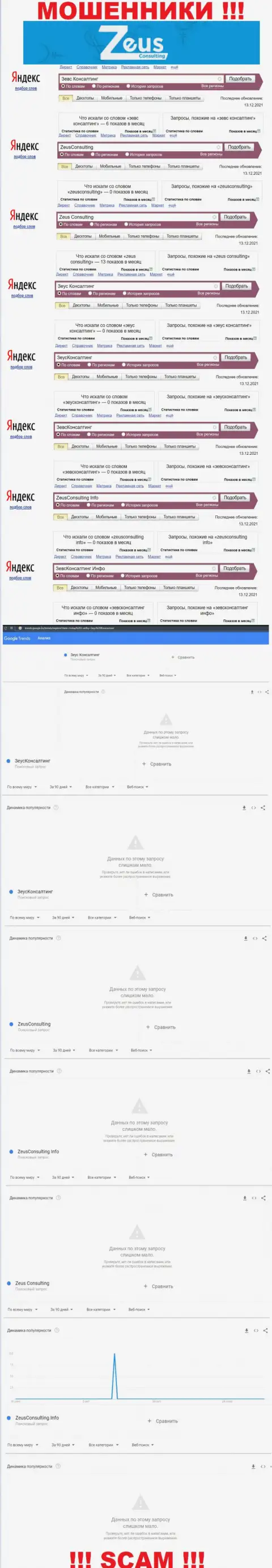 Сколько раз посетители глобальной сети интернет искали данные о мошенниках Zeus Consulting ?