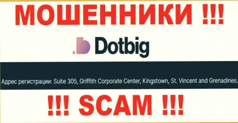 Все клиенты DotBig LTD однозначно будут оставлены без копейки - эти internet-разводилы пустили корни в оффшоре: Suite 305, Griffith Corporate Centre Kingstown, St. Vincent and the Grenadines