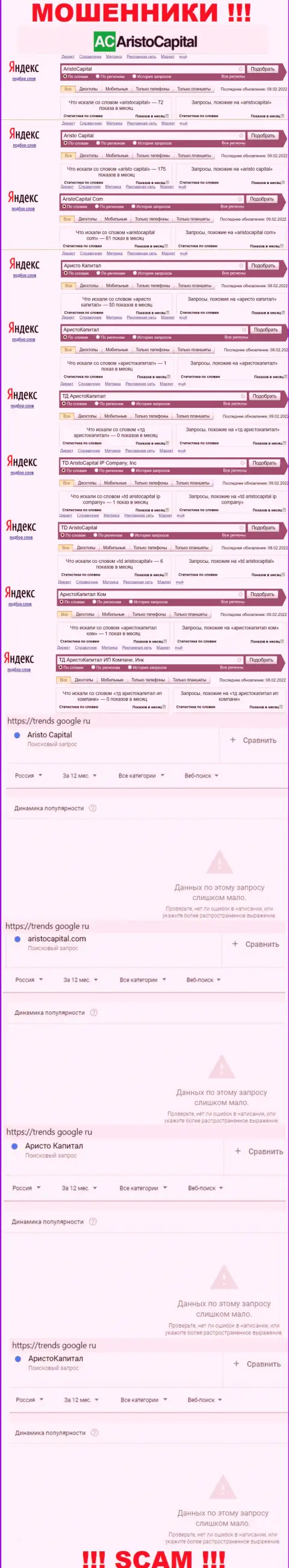 Статистические данные online запросов по бренду АристоКапитал Ком во всемирной интернет паутине
