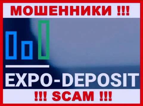 Логотип ЖУЛИКА Expo-Depo Com