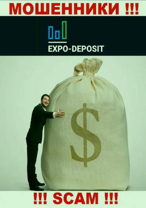 Невозможно получить денежные активы с организации Expo-Depo Com, поэтому ни копейки дополнительно заводить не нужно