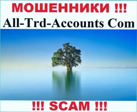 All-Trd-Accounts Com крадут финансовые средства и остаются без наказания - они скрыли информацию о юрисдикции