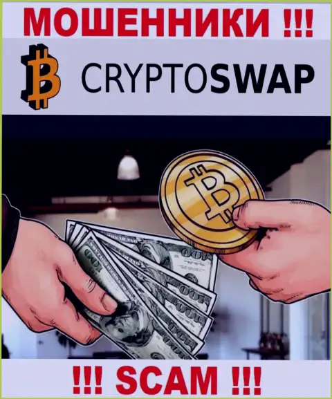 Не советуем верить Crypto-Swap Net, оказывающим свои услуги в области Криптовалютный обменник