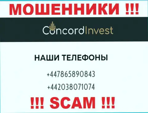 ОБМАНЩИКИ из конторы ConcordInvest Ltd вышли на поиск лохов - звонят с нескольких телефонных номеров