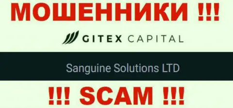 Юридическое лицо Gitex Capital - это Сангин Солютионс ЛТД, такую инфу показали ворюги на своем онлайн-ресурсе