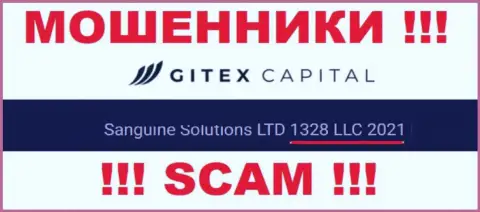 Номер регистрации организации GitexCapital Pro: 1328 LLC 2021