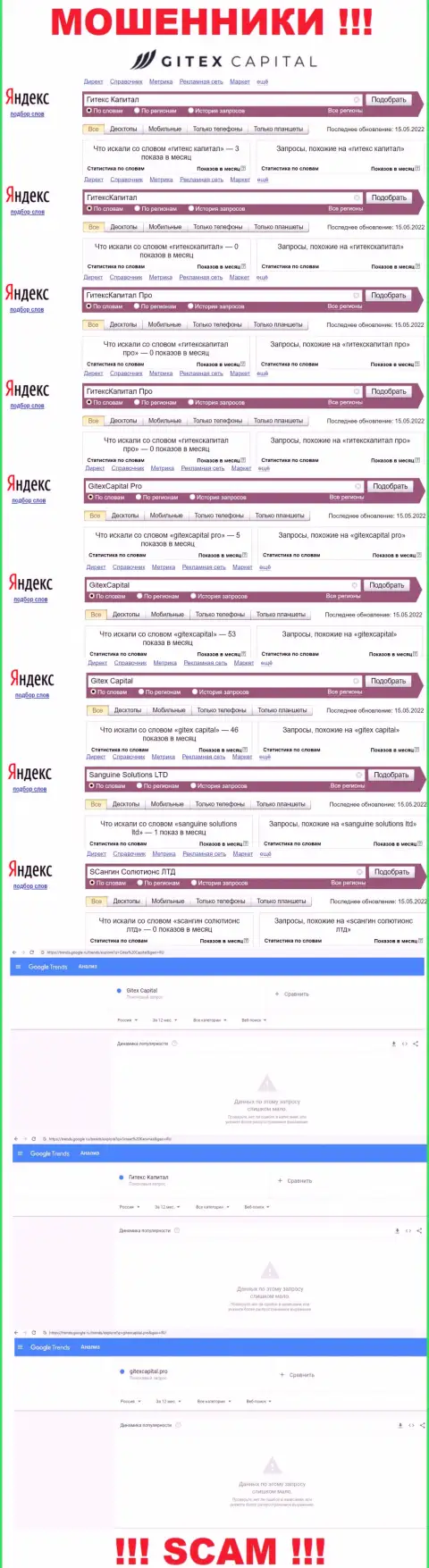 Статистические показатели брендовых онлайн запросов по незаконно действующей компании Gitex Capital