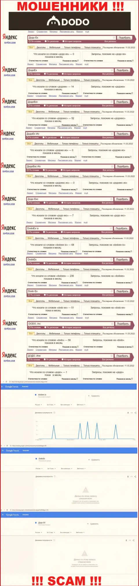 Статистические данные онлайн-запросов по мошенникам DodoEx в поисковиках сети