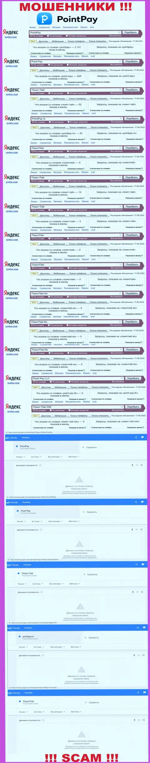 Статистические сведения online-запросов по разводилам Поинт Пэй в глобальной интернет сети