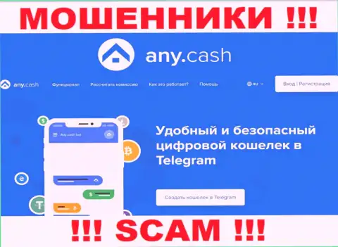 Связываться с AnyCash довольно-таки опасно, ведь их сфера деятельности Виртуальный кошелёк - это кидалово