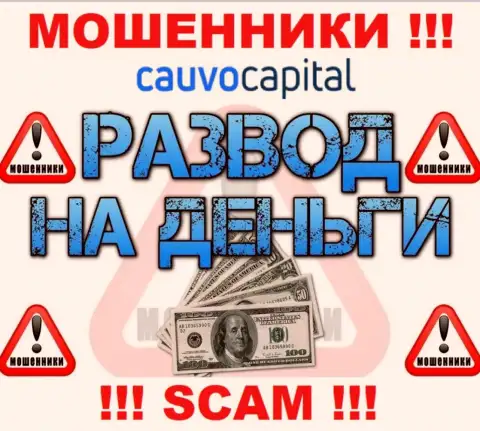 Даже и не мечтайте, что с дилинговой конторой Cauvo Capital реально нарастить прибыль, Вас надувают