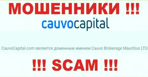 Мошенники КаувоКапитал принадлежат юридическому лицу - Cauvo Brokerage Mauritius LTD