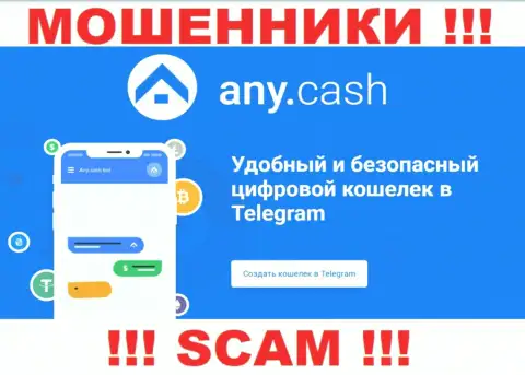 AnyCash это интернет-мошенники, их деятельность - Цифровой кошелёк, нацелена на слив депозитов наивных клиентов